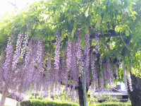 DSCF0005
