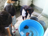 DSCF0009