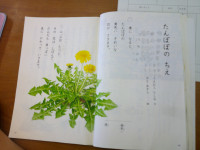 DSCF0002