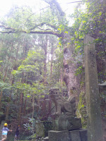 DSCF0045