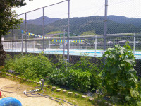 DSCF0522
