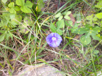 DSCF0007
