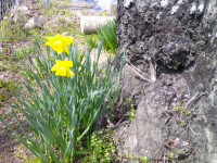 DSCF0007