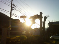 DSCF0002