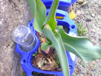 DSCF0036