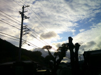 DSCF0003