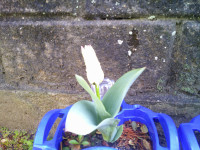 DSCF0002