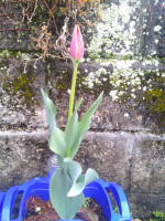 DSCF0001