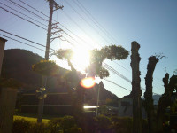 DSCF0004