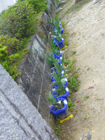 DSCF0003