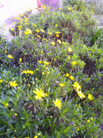 DSCF0002
