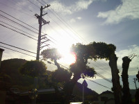 DSCF0005