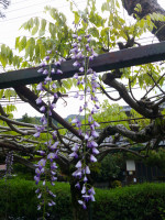 DSCF0004