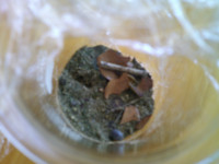 DSCF0005