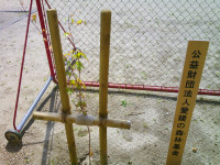 DSCF0004
