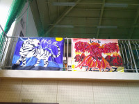 DSCF0005