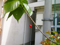 DSCF0004