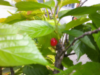DSCF0005
