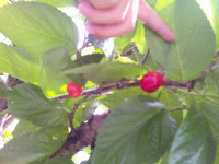 DSCF0007