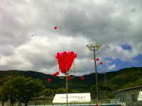 DSCF0016