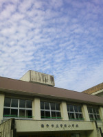 DSCF0159