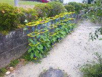 DSCF0002