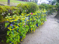 DSCF0002