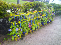 DSCF0002