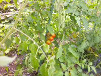 DSCF0006