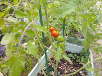 DSCF0007