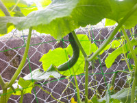 DSCF0008