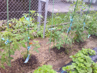 DSCF0010