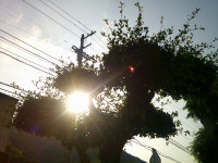 DSCF0002