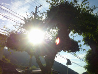 DSCF0002