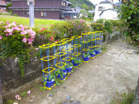 DSCF0005