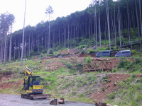 DSCF0004