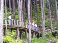 DSCF0006