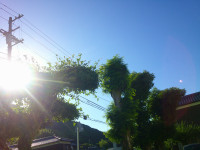 DSCF0002
