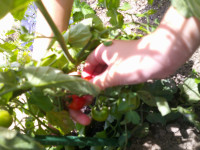 DSCF0007
