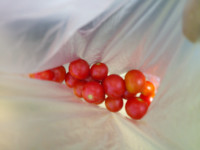 DSCF0006