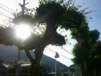 DSCF0013