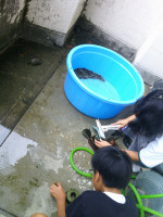 DSCF0024