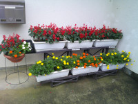 DSCF0004