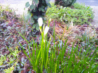 DSCF0002