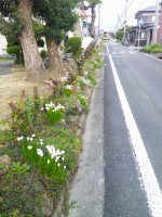 DSCF0002