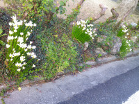 DSCF0002