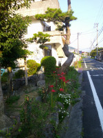 DSCF0003