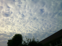 DSCF0002