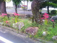 DSCF0002