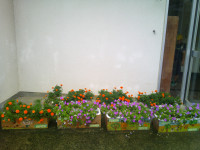 DSCF0002